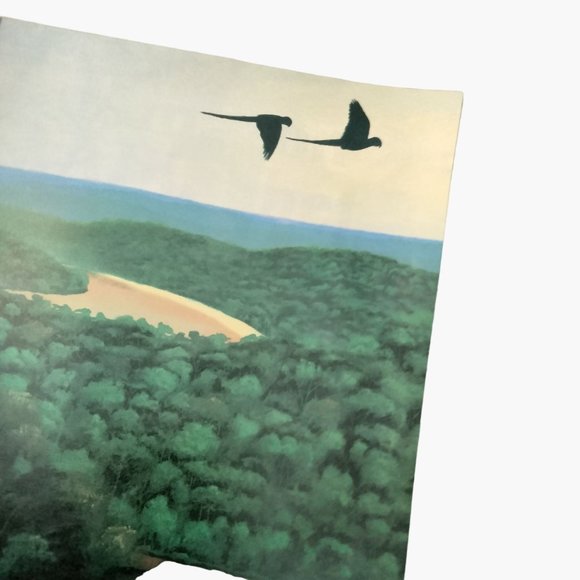 Amazon Alphabet  Book Martin Tanis Jordan Paperback Large Picture Book - Picture 6 of 9